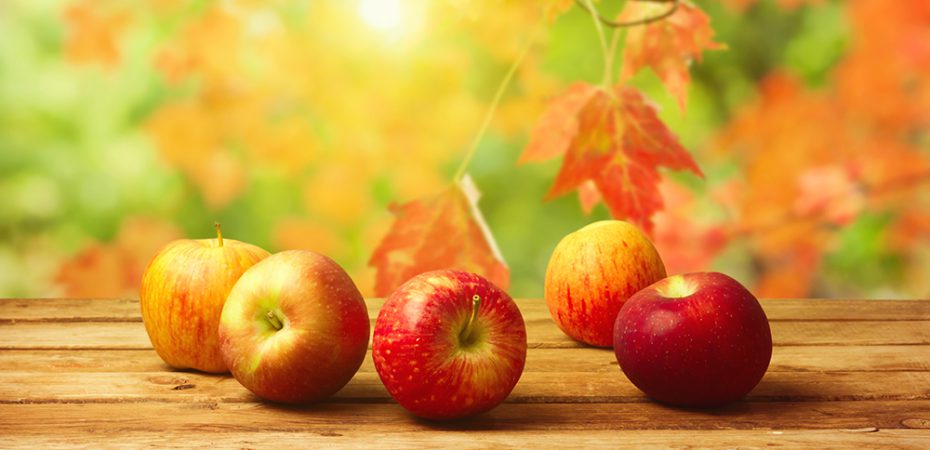 fall