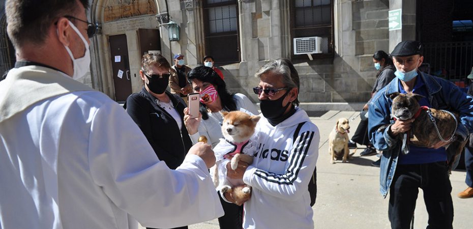 NEW YORK ANIMAL BLESSING