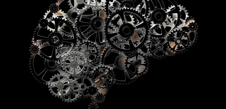 brain